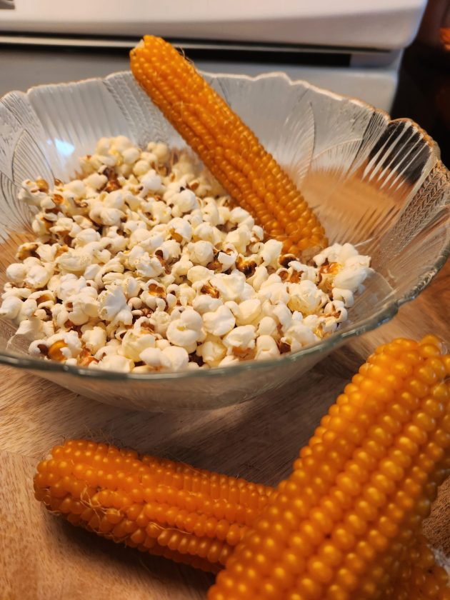 popped popcorn in a glass bowl and three popcorn on the cobs